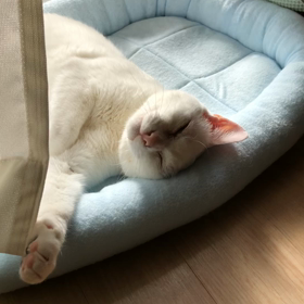 ポカポカで　きもちいいの画像