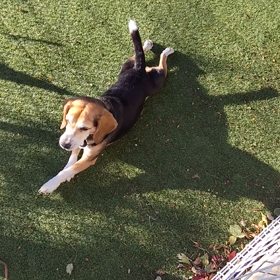 今年度の授業が終わりましたの巻の画像