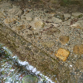 その２７　新座市妙音沢。の画像