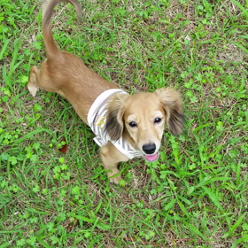 ＊＊＊おまけ＊＊＊の画像