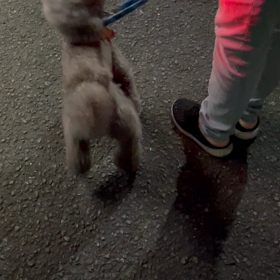 ワクチン完了と副反応の画像