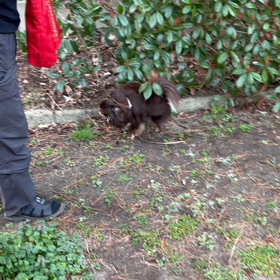 私のお疲れ様は…の画像