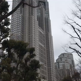 バッタリ！？の画像