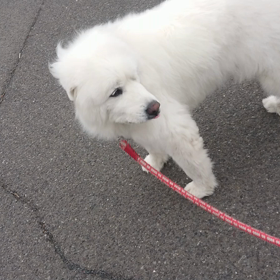 早朝６時の画像