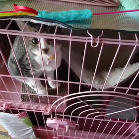 おはよう、心春だよの画像