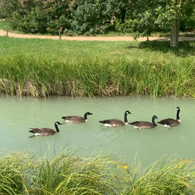 フランスパリ❤︎ヴェルサイユ宮殿プチトリアノン✴︎の画像