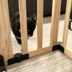 すり抜けるの画像