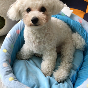 ♪プレイルーム動画♪②の画像