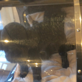 ⬛️9/6〜9/12＊酸素カプセルご利用のお友達⬛️2の画像