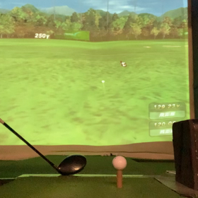 ひさびさにシミュレーションの画像