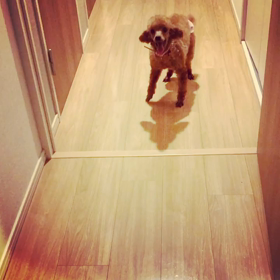 バリアフリーの画像