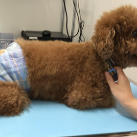 やばいやっや！病院はの画像