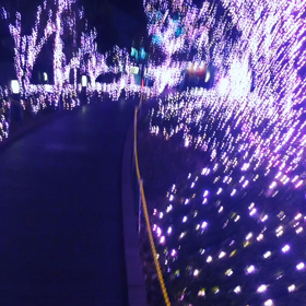 TRY！1人☆イルミネーション‼︎の画像