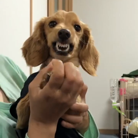 激ギレwwwの画像