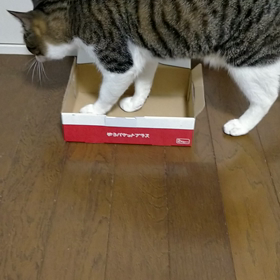 サイズオーバーですよ。の画像