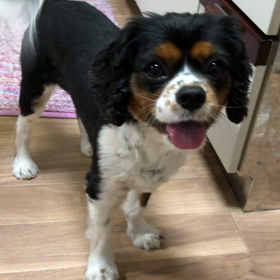 ”■お勉強タイム■”の画像