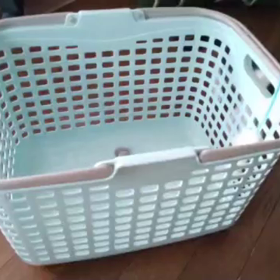 ミュウは洗濯カゴでの遊びを覚えたの画像