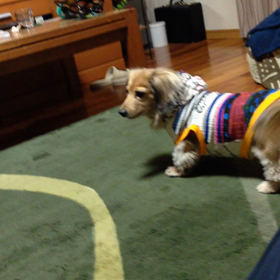 オットセイ？なレムの画像