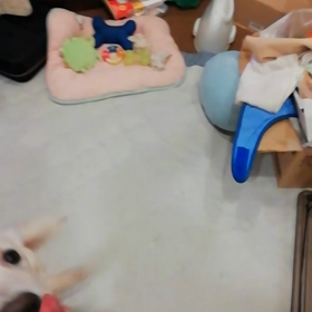 ドン・キホーテのささみジャーキーの画像