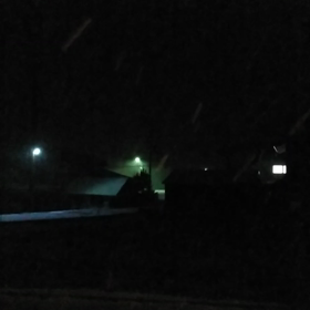 降ってます…の画像