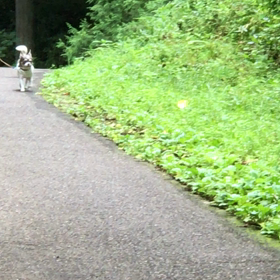 ❣️8月１９日  久しぶりの太陽サンサン⁉️の画像