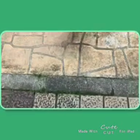 入院しました、自動車。　　車検って。。。、の画像