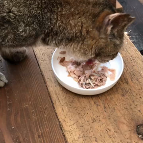 食べてますよの画像