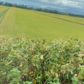 香川照之さんを世代別トランスサタニアンに当てはめてみました。の画像