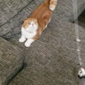 *健康のためにやってることある？*の画像