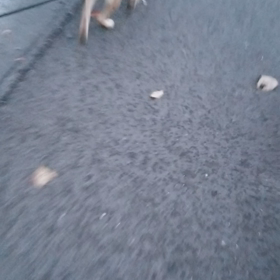 絶賛発情中？の画像