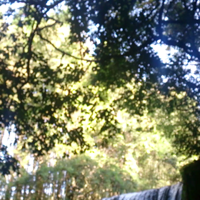 涼しいムービーを【過去動画】の画像