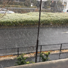 2021/1/28 (木) 2の画像