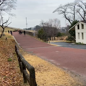 多摩湖駅伝練習 男子ペース走①中間点の画像
