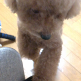 台風19号の画像