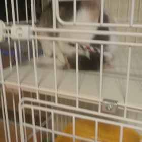 『ごめん寝』の画像