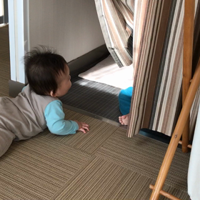 双子いないいないばあ合戦の画像