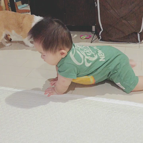 7m17d ハイハイの練習♡の画像