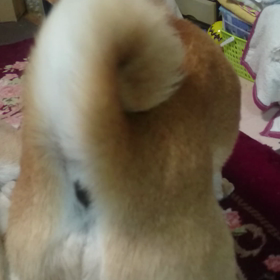 かわいすぎー！！の画像