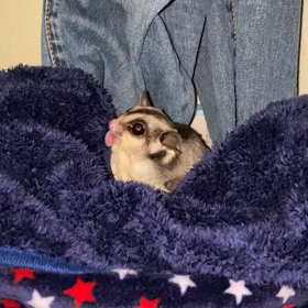 大好きなピーナツの画像