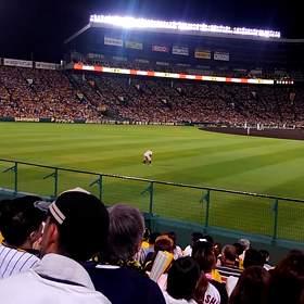 喜び過ぎた(^o^;)の画像