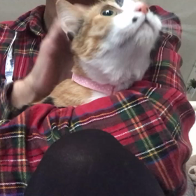 里親様募集中の海凛(マリン)ちゃんの画像