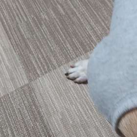 ご対面Σ(꒪◊꒪ ;)の画像