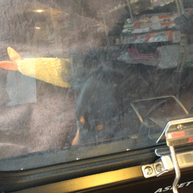 ⬛️3/8〜3/14＊酸素カプセルご利用のお友達⬛️の画像