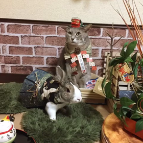 2018突入です♪の画像