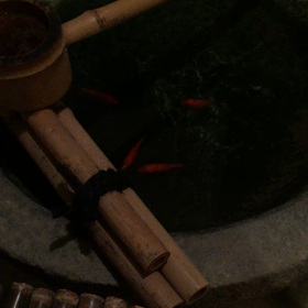 もうすぐ帰ります♪の画像