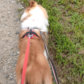 イタズラして、怒られましたの画像