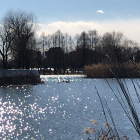 梅は〜咲いたか〜♪桜はまだかいな♪の画像