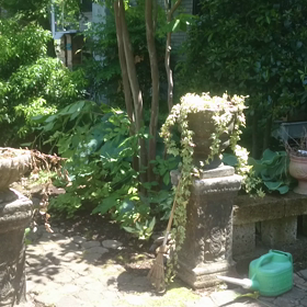 日本蜜蜂が良く働いているの画像