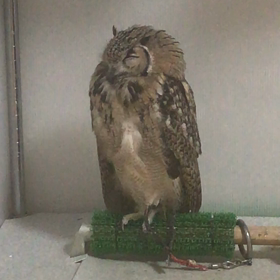 みたなーの画像