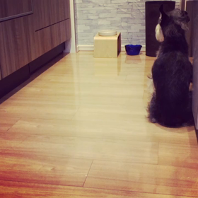 ぼくの試練の画像